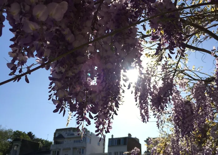 Montmartre En Rez-de-jardin Apartmán