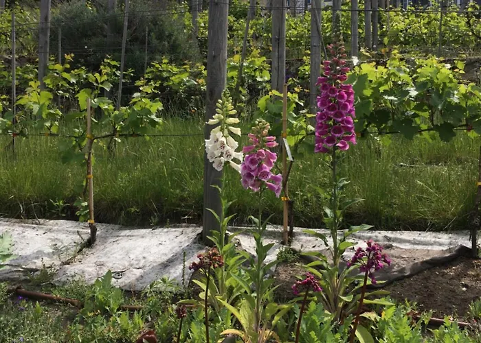 Montmartre En Rez-de-jardin Paříž