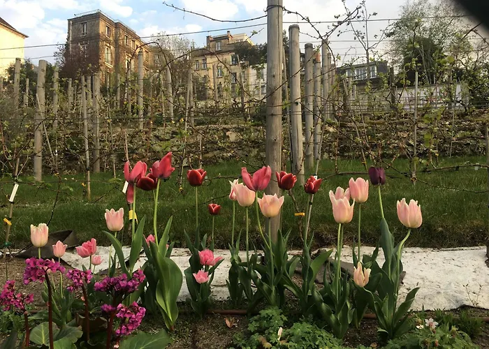 Apartmán Montmartre En Rez-de-jardin *