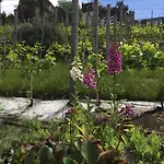 Montmartre En Rez-de-jardin Paris