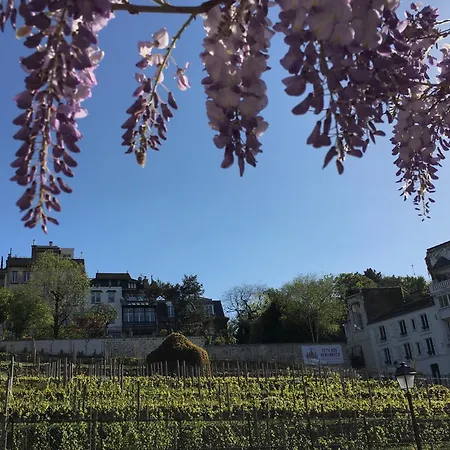 Montmartre En Rez-de-jardin Apartament