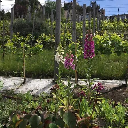 Montmartre En Rez-de-jardin Paryż