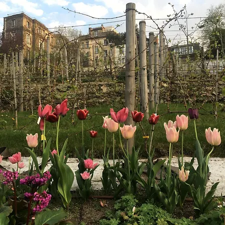 Apartamento Montmartre En Rez-de-jardin *